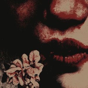 Meet your Posher, Ray